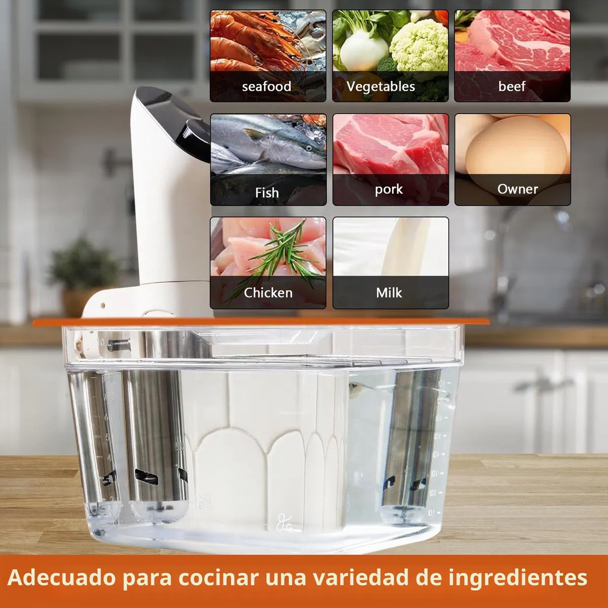 Recipiente Sous Vide 12L, Sous Vide Contenedor con Tapa Manguito Aislante y Estante, Contenedor transparente multifuncional (sin BPA) Adecuado para Pescado, Carne y Verduras