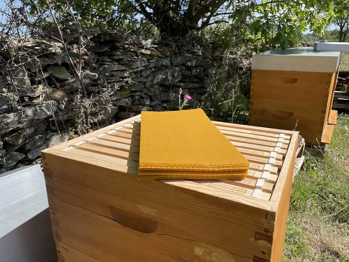Velas de cera de abeja, velas de miel (velas 20 cm x 2,4 cm). SIN PARAFINA ecologicas,Hechas a mano Origen Sierra de Culebra ZAMORA (PACC 32 VELAS 20 cm x 2,4cm)