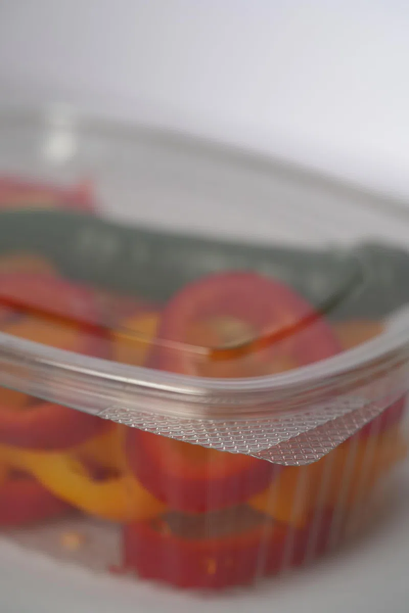 Commerline 300 cuencos rectangulares plegables de 1000 ml, recipientes reutilizables de plástico PP, cuencos de ensalada con tapa, recipientes transparentes para alimentos y alimentos para gastronomía
