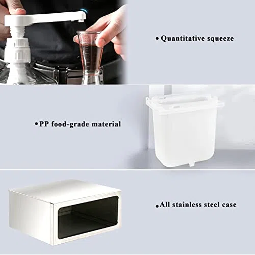 Dispensador de Condimentos, Contenedores de de Bomba, Estación de Plástico y Acero Inoxidable para Cocina y Hogar (Bomba Doble 1L)