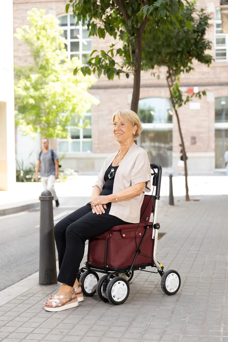 Carlett Andador y Carrito con Asiento Incorporado, Producto Médico Homologado EU, Manillar Regulable, Freno de Parking y Ruedas Ajustables 3 Posiciones, Robusto, Comfort Assist, Gris Claro