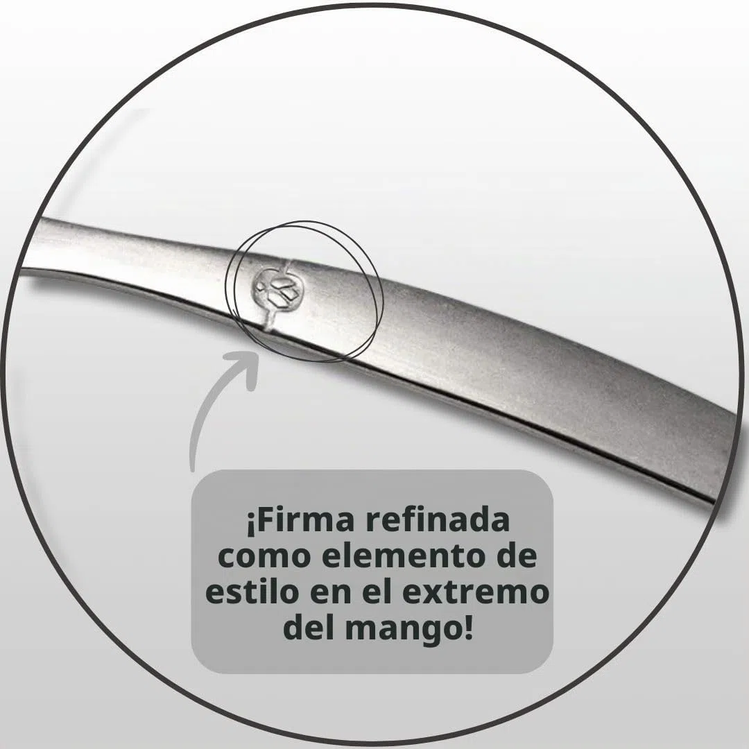 Lou Laguiole Chorro Cubiertos de Mesa/Estuche para 6 Personas, Inoxidable, Acero Espejo, 24 couverts de Table