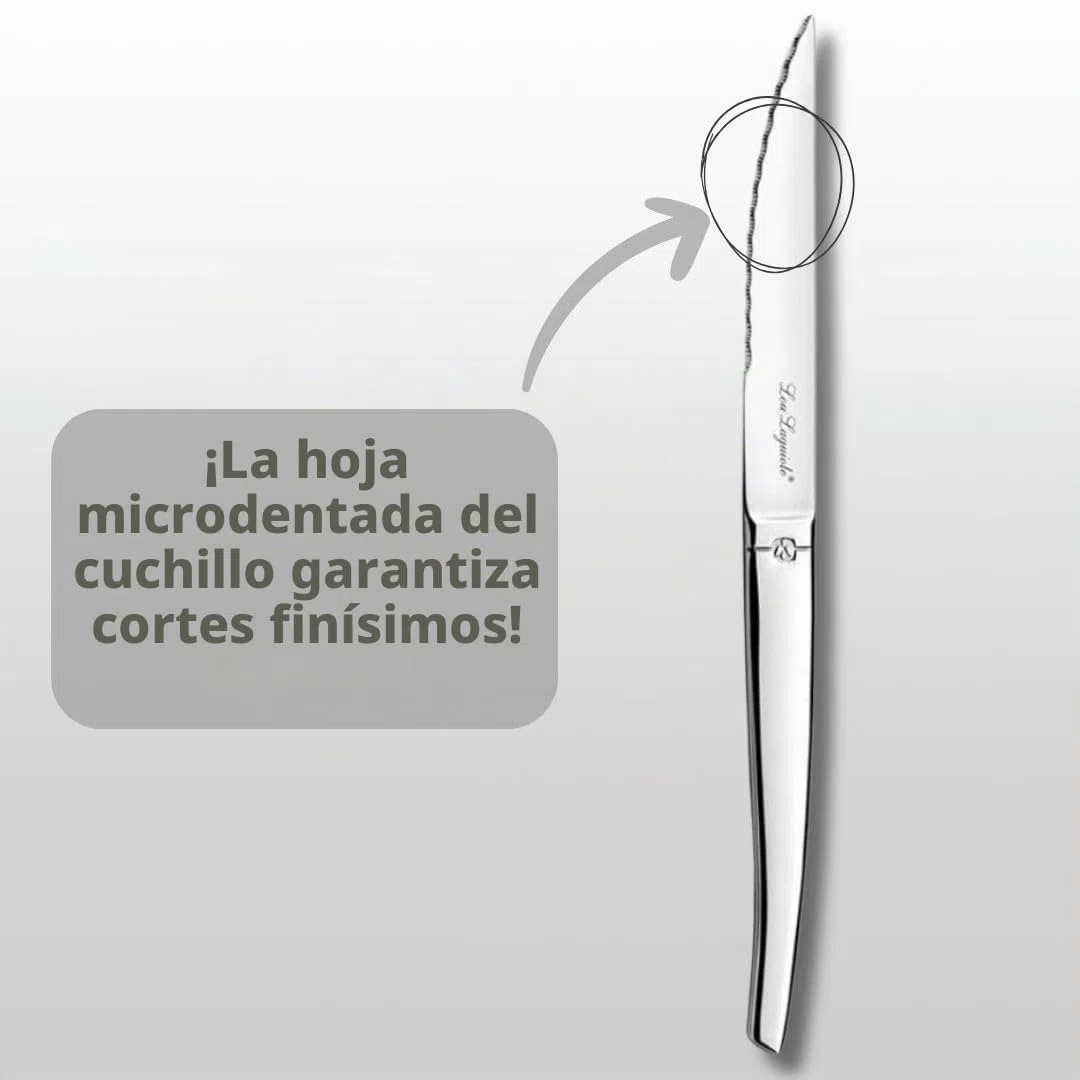 Lou Laguiole Chorro Cubiertos de Mesa/Estuche para 6 Personas, Inoxidable, Acero Espejo, 24 couverts de Table