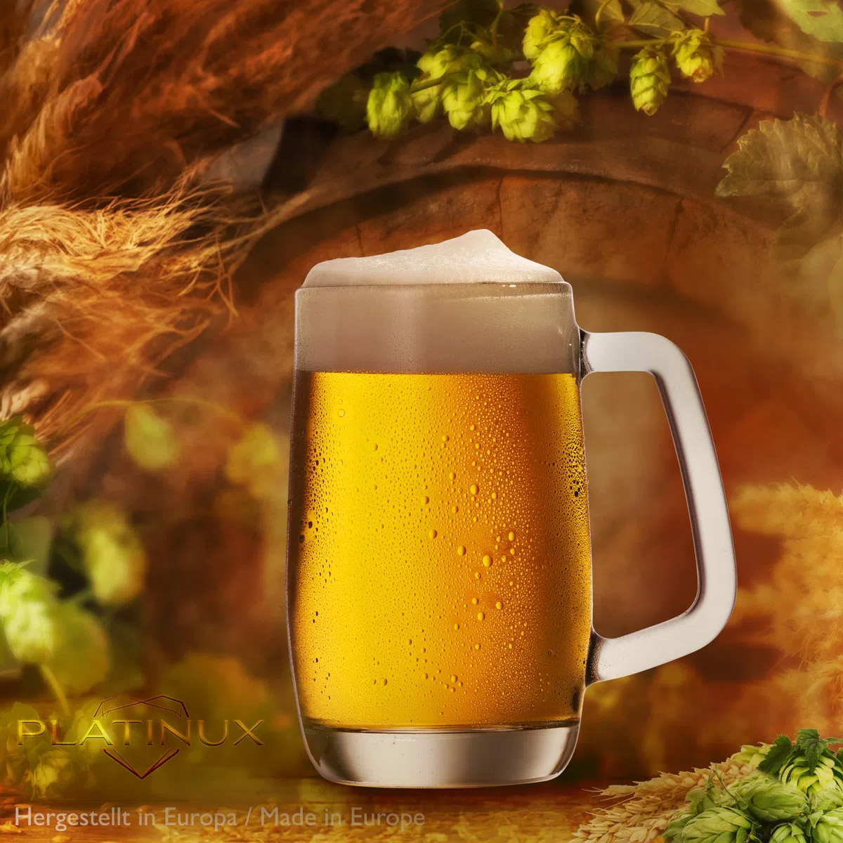 PLATINUX Juego de 6 jarras de cerveza con asa de cristal, 300 ml (máx. 375 ml)