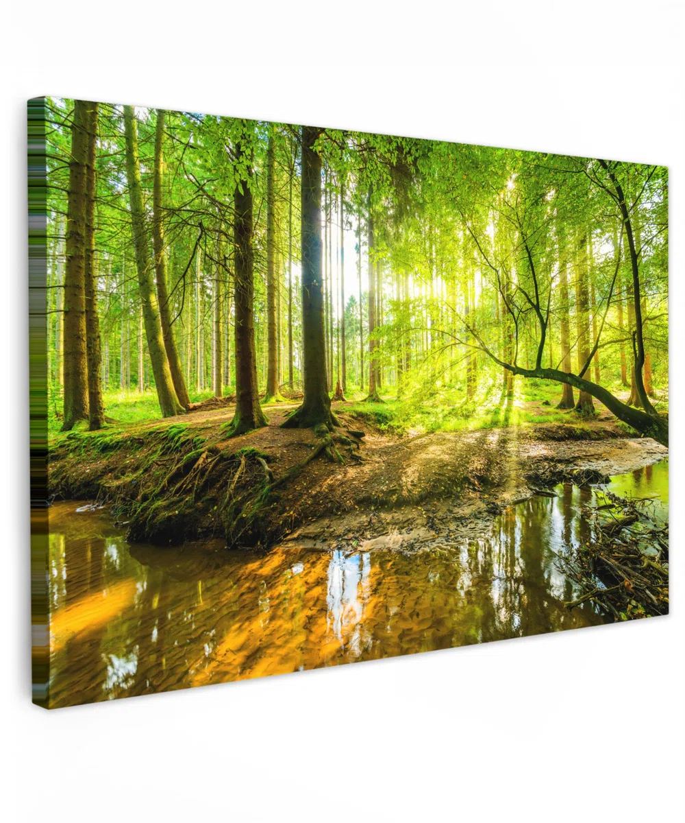 MuchoWow© Quadros Decoração Sala 120x80 cm Cuadros Decoracion Dormitorios Lienzos Decorativos para Dormitorios Modernos Bosque - Paisaje - Agua - Árboles - Sol - Verde - Naturaleza | 47in x31in / 120 x 80 cm – Regalos Pasillo Bosque – Paisaje – Agua – Árb