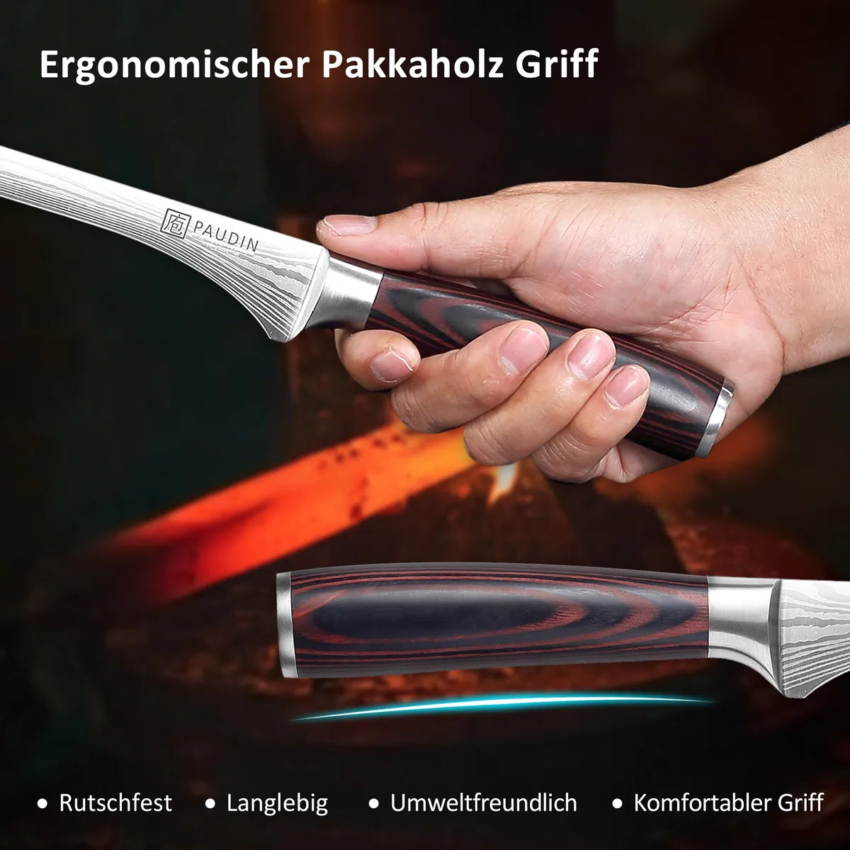 PAUDIN Cuchillo jamonero 25cm, cuchillo de cocina profesional de acero inoxidable alemán 1.4116 - hoja de precisión para lonchas finísimas, afilado cuchillo de trinchar con mango ergonómico de madera