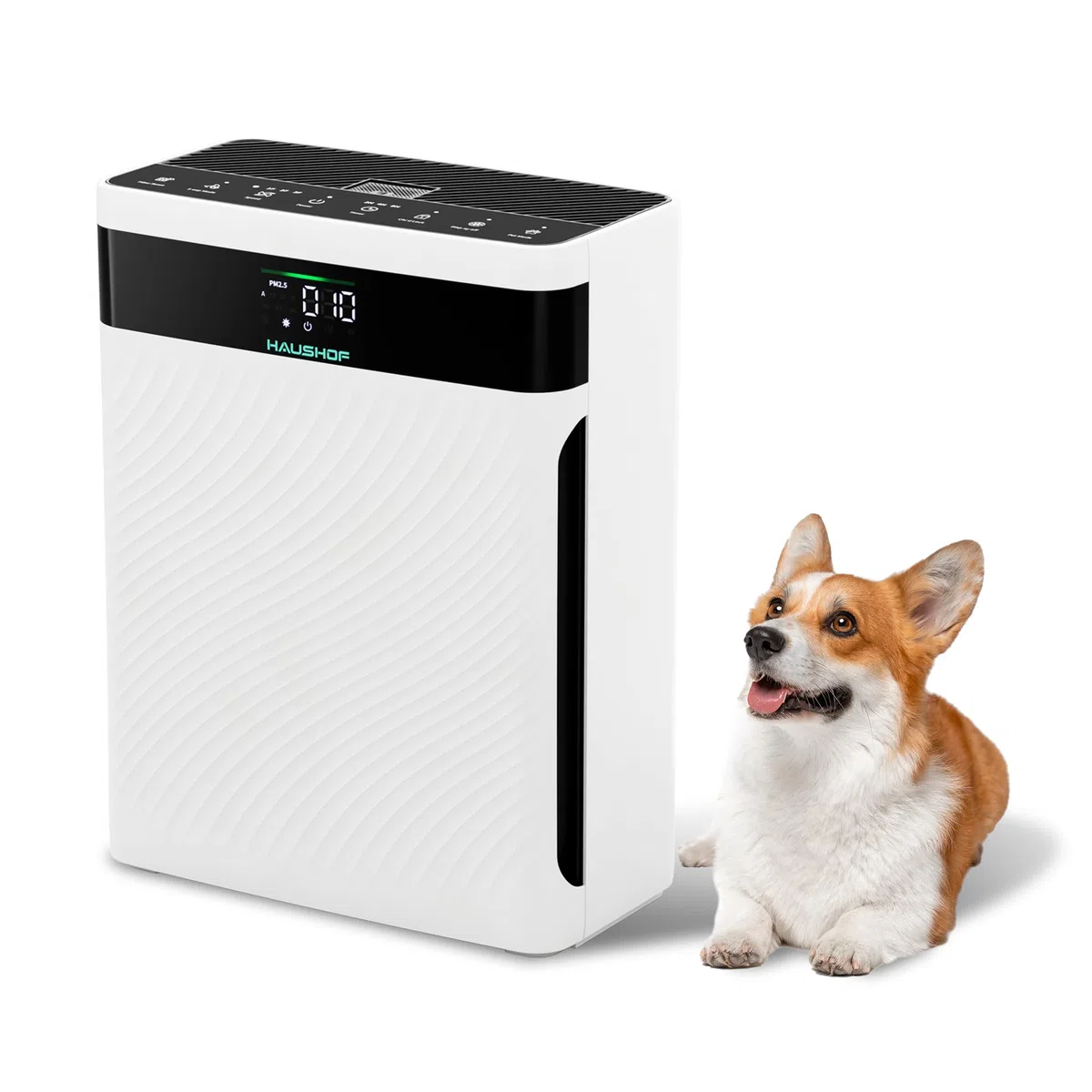 HAUSHOF Purificador de Aire con Filtro HEPA H13 | para Alergias, Polen, Humo, Caspa De Mascotas y Olores, Modo Mascota y Reposo, Silencioso 30dB