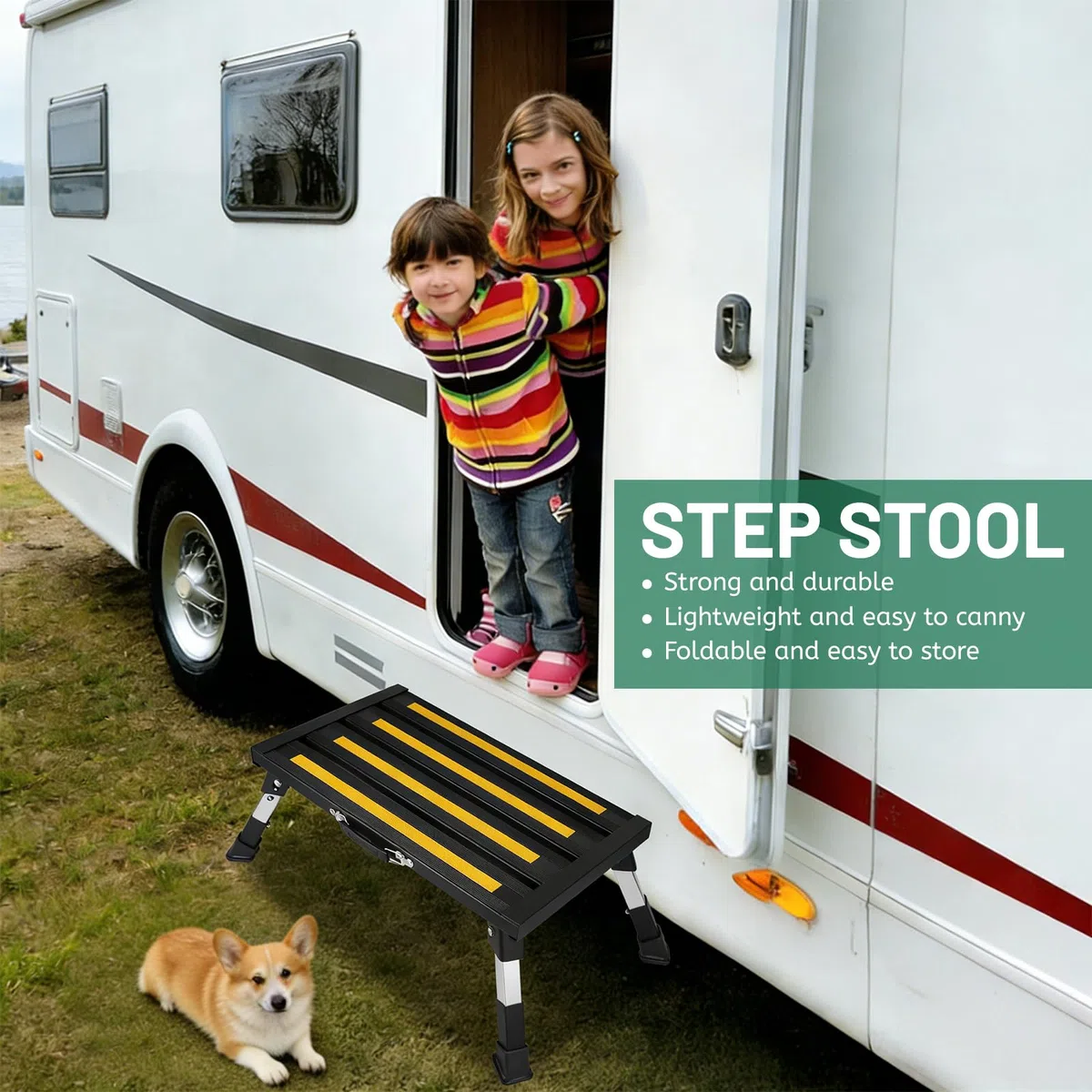 DBREAKS Taburete Plegable Antideslizante de Aluminio con 4 Alturas Ajustables y asa de Transporte, Peldaño Plegable Escalon para Caravanas, para Adultos, Niños, Mascotas(Negro)