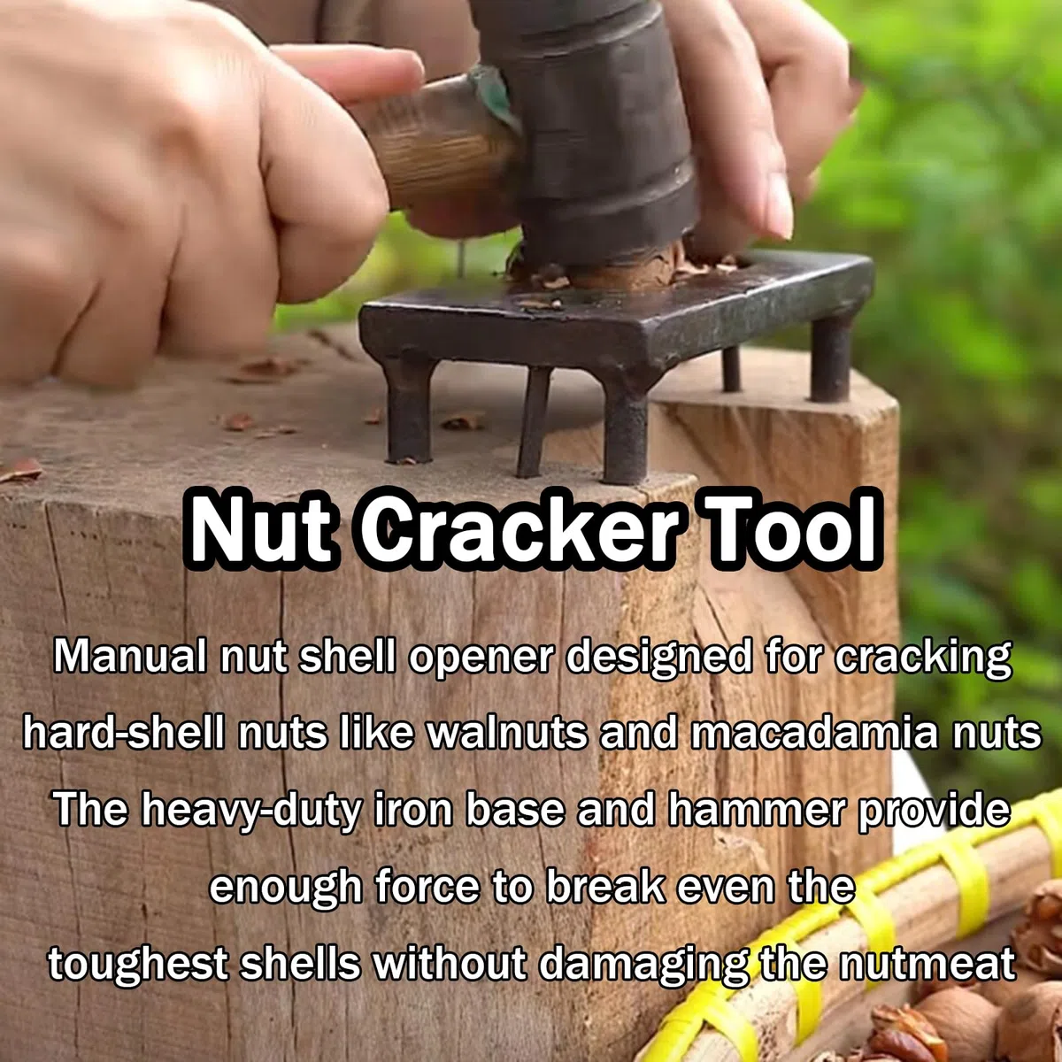 Cascanueces manual, pinzas resistentes para nueces, con base de hierro, martillo, avellanas con un diámetro de 12/16/19 mm, para nueces, nueces, avellanas, almendras, nueces