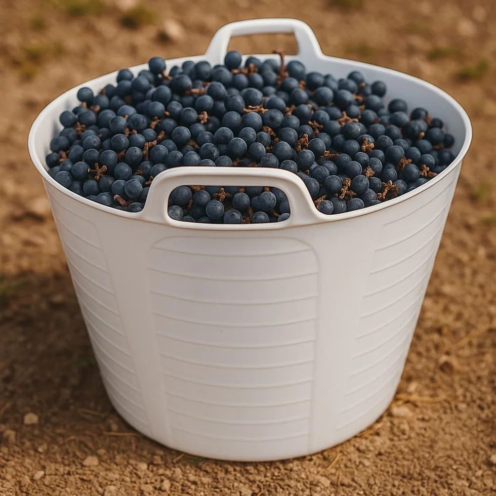 Pack 9 Capazos Blancos 42L Uso Alimentario Sin BPA Para Cocina y Hostelería | Hecho en España. Cumple Normativa Europea alimentaria. Resiste uso profesional intensivo en cocinas, restaurantes, cámaras