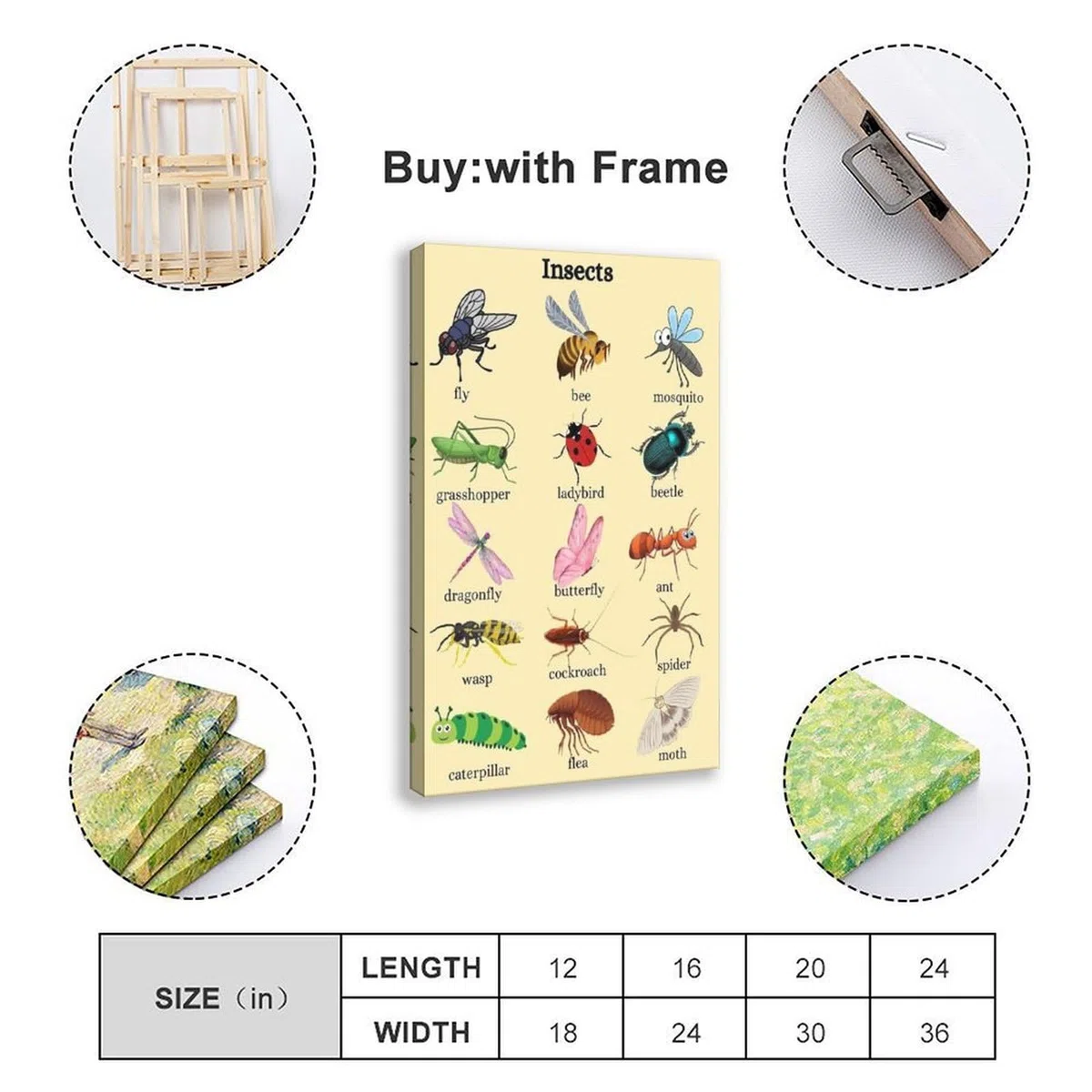 Póster de lienzo con conocimiento de la enciclopedia de insectos y animales, decoración de dormitorio, paisaje, oficina, habitación, regalo, 50 x 75 cm