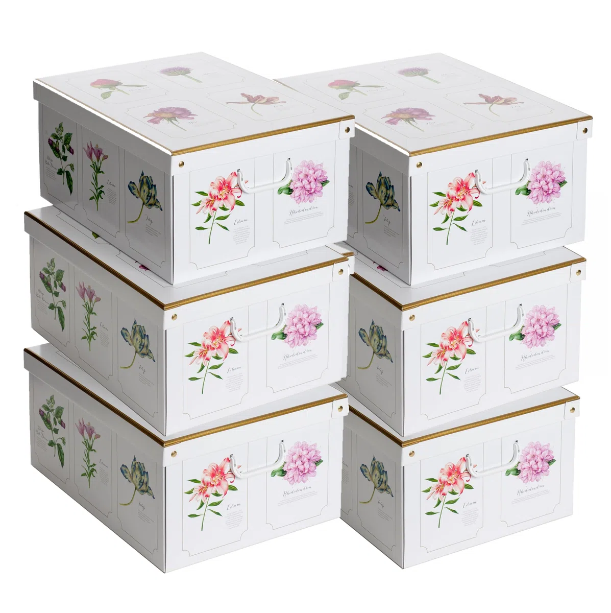Lavatelli Set de 6 Cajas de Armario con Tapa – Organizadores de Cambio de Temporada en Cartón 39x50x24 cm Botanic – Made in Italy, Resistentes, Fáciles de Montar, con Asas