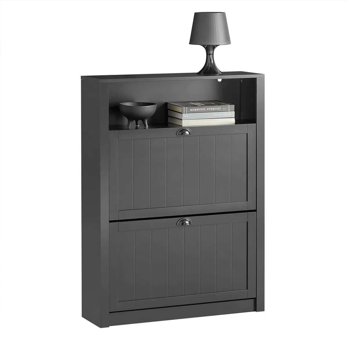 SoBuy FSR87-SCH Zapatero Estrecho Organizador para Zapatos con 2 Puertas Abatibles 80 x 24 x 110 cm Negro ES