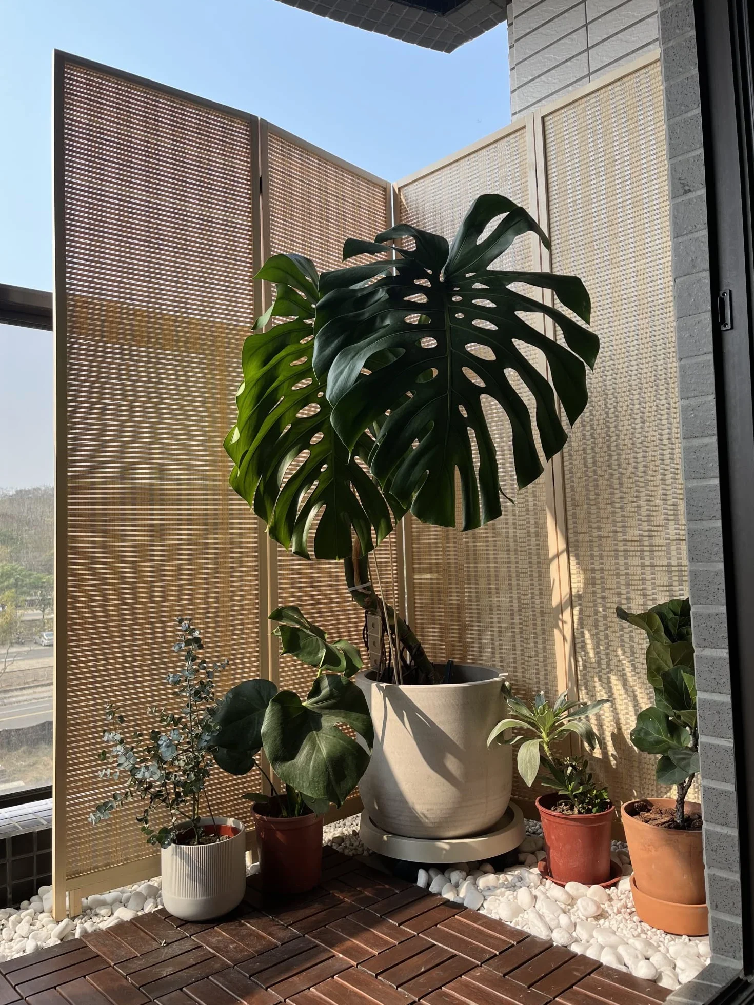 Separador de habitación de bambú ultra alto de 180 cm, para cambiar de ropa, balcón, biombos retráctiles japonés/chinos