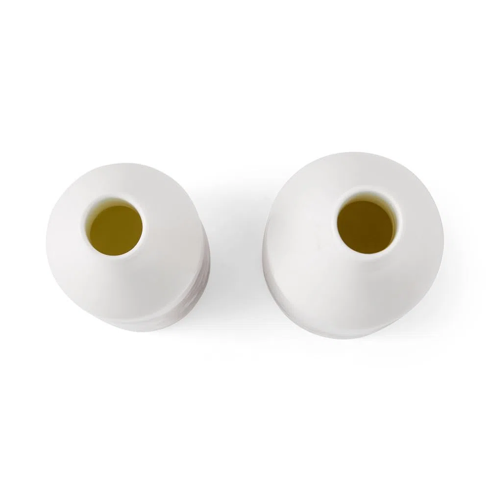 Wrendale Designs Royal Worcester Wrendale Deigns - Juego de aceite y vinagre de vaca y pato