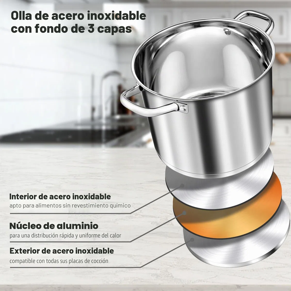 TEAMFAR olla 10L, olla grande de acero inoxidable para pasta de inducción con base de 3 capas para todo tipo de cocinas, tapa de cristal, olla sopera de 24cm olla para carne para cocinar