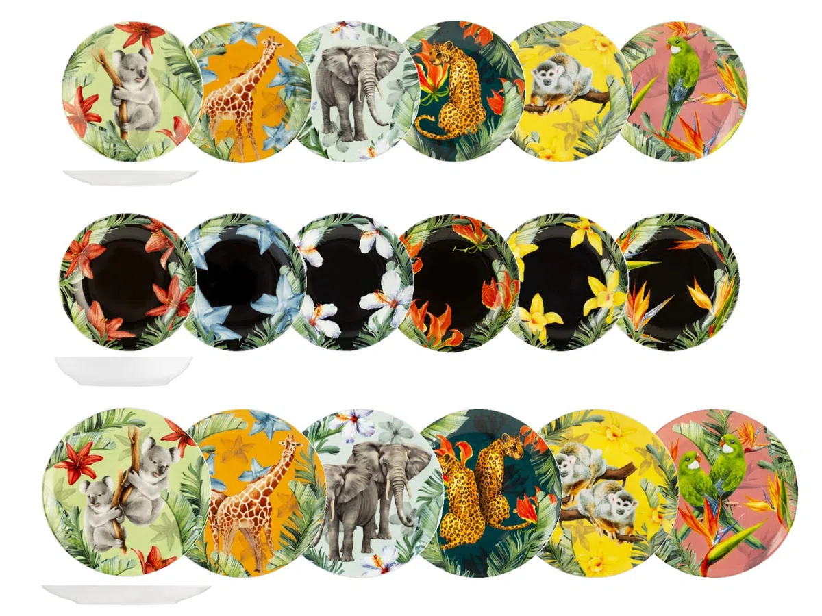 H&H Juego de vajilla de porcelana Exotic de 18 piezas