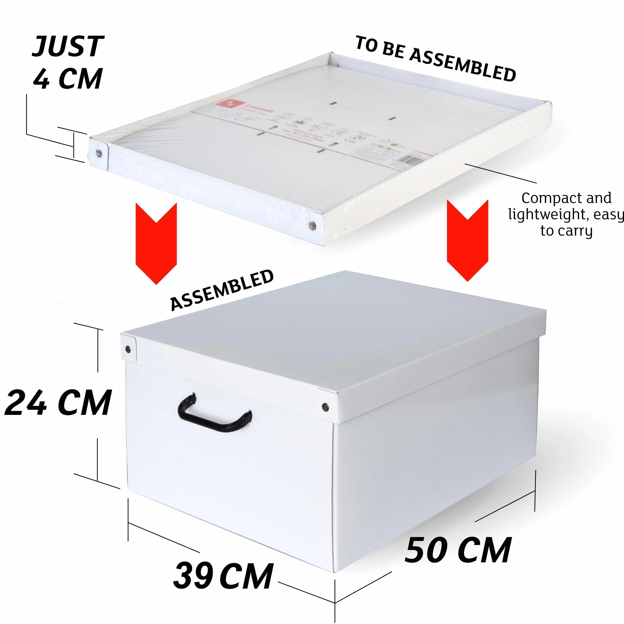 Lavatelli Set de 6 Cajas de Armario con Tapa – Organizadores de Cambio de Temporada en Cartón 39x50x24 cm Botanic – Made in Italy, Resistentes, Fáciles de Montar, con Asas