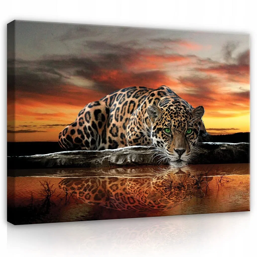 ForWall Cuadro en lienzo Tigre Animales 100x75 cm | cuadro en lienzo moderno Canvas grande XXL dormitorio salón cocina recibidor cuadro de pared lámina artística cuadros de