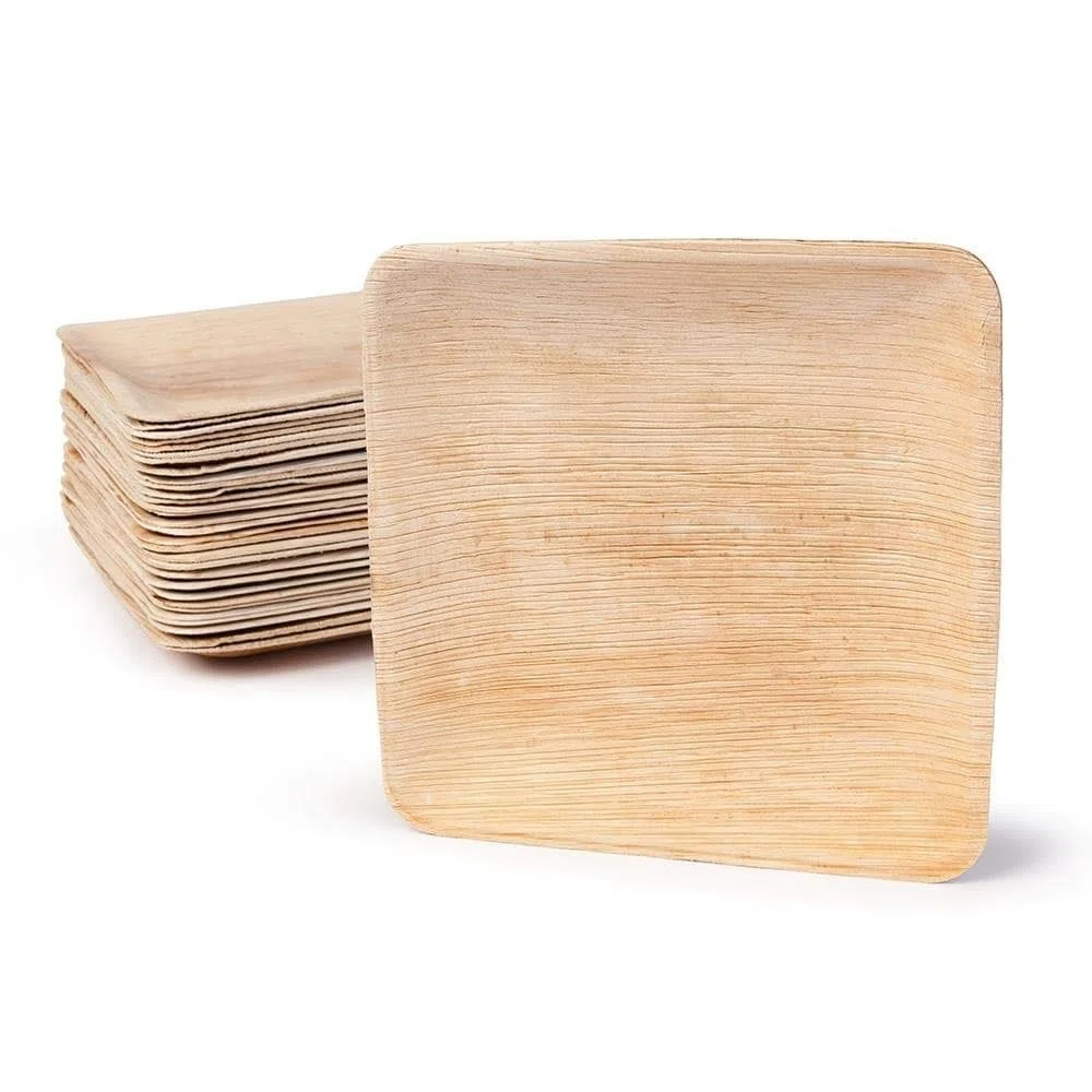 Biodegradable disposable tableware (20x20cm (100 piezas))