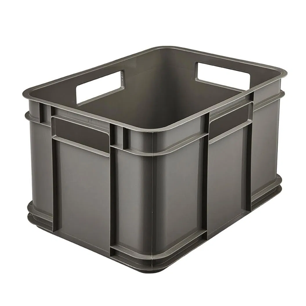 keeeper Contenedor de almacenamiento con asas, Euro-Box M, Plástico Procyclen, 16 l, Bruno Eco Line, Eco-Gris