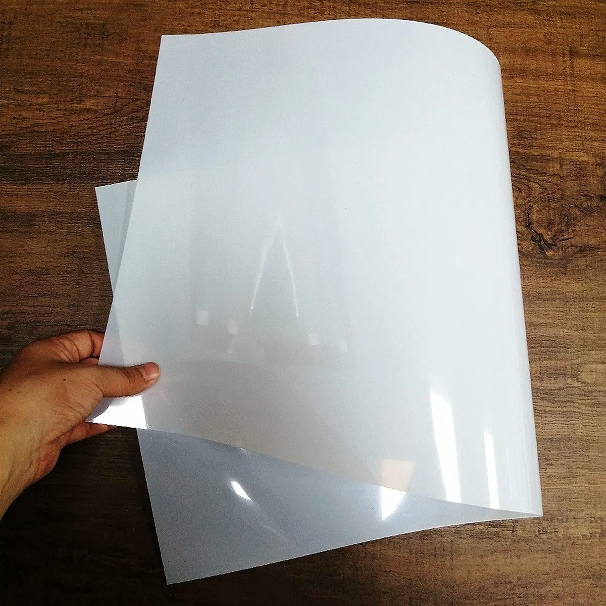 12 x 24 pulgadas, 8 hojas de 10 mil Mylar hoja de plástico de PET traslúcido lechoso para hacer plantillas Cricut, silueta, girocorte material de plantilla de herramienta (10 mil, 12 x 24, 8 paquetes)