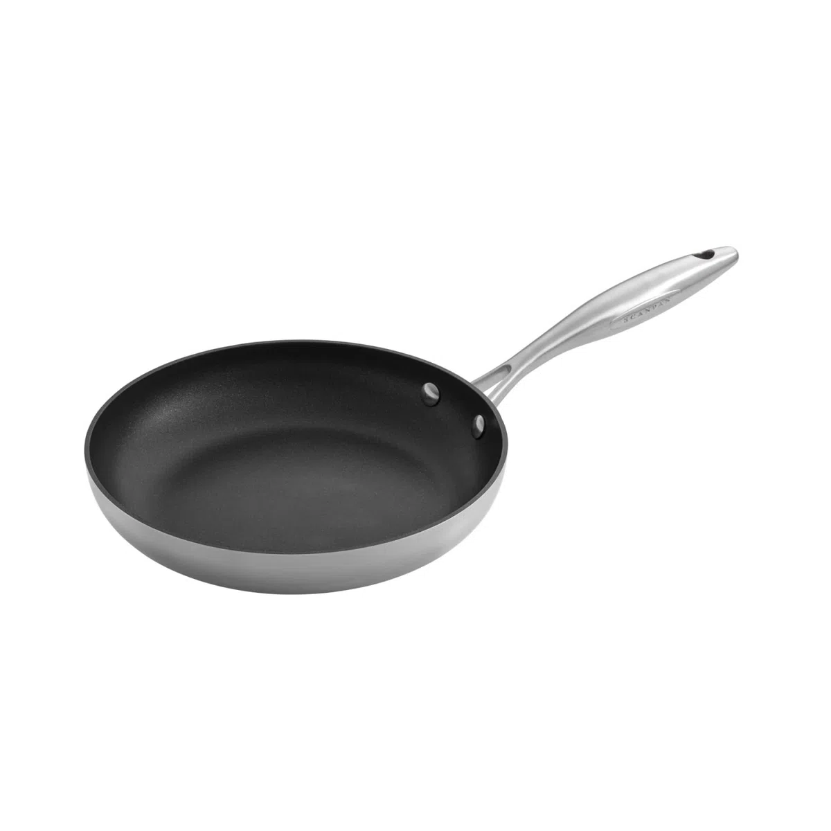 Scanpan Sartén CTX 9-1/2-Inch Fry Pan (Japan Import)
