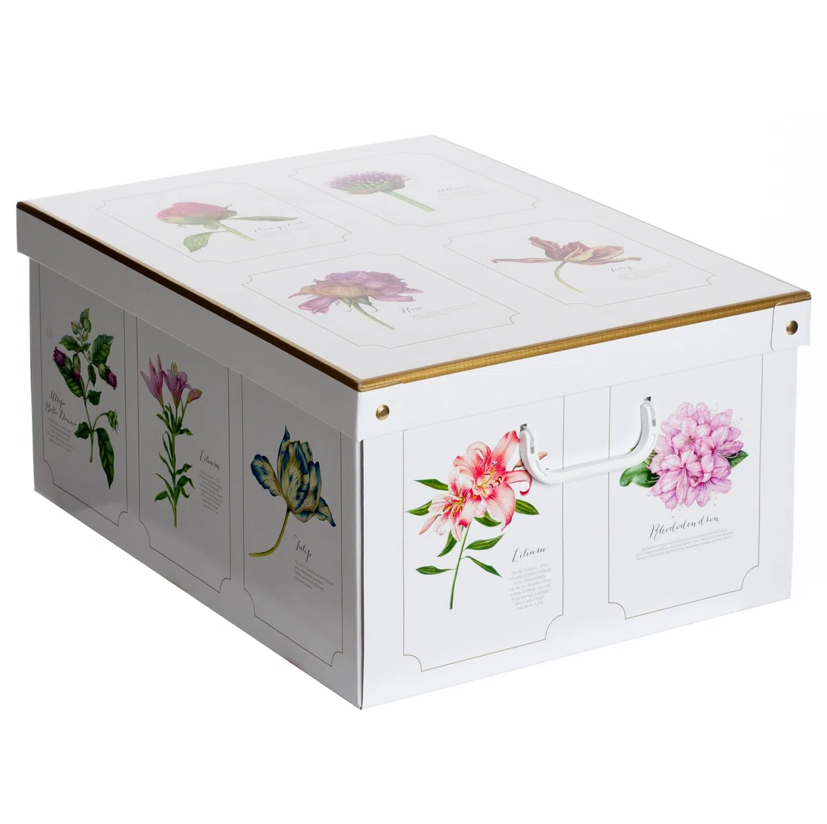 Lavatelli Set de 6 Cajas de Armario con Tapa – Organizadores de Cambio de Temporada en Cartón 39x50x24 cm Botanic – Made in Italy, Resistentes, Fáciles de Montar, con Asas
