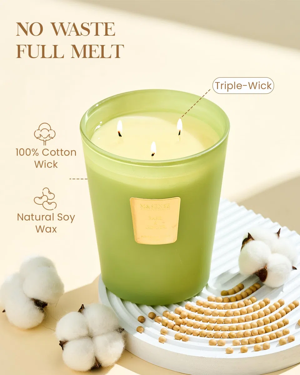 M&SENSE Vela aromática con aroma a albahaca y jengibre