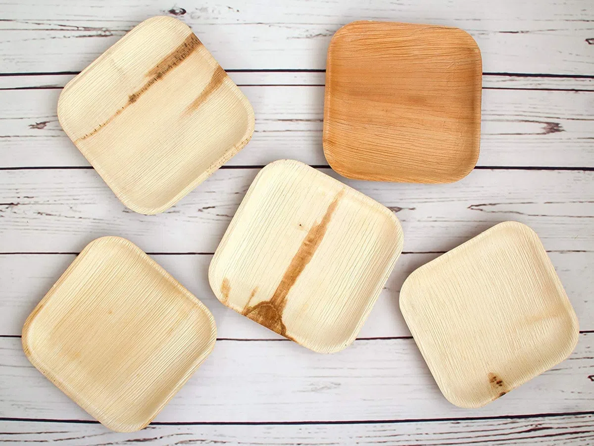 Biodegradable disposable tableware (20x20cm (100 piezas))