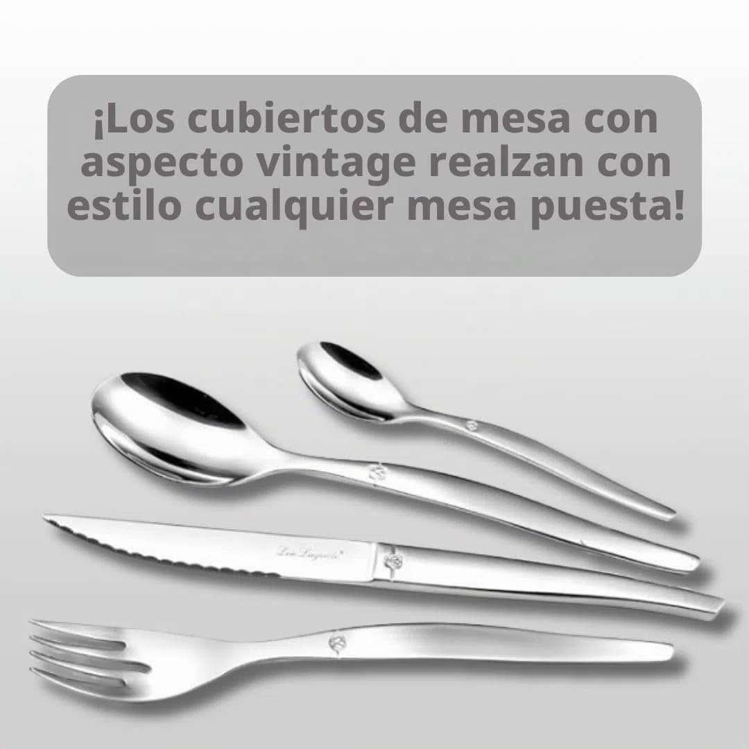 Lou Laguiole Chorro Cubiertos de Mesa/Estuche para 6 Personas, Inoxidable, Acero Espejo, 24 couverts de Table