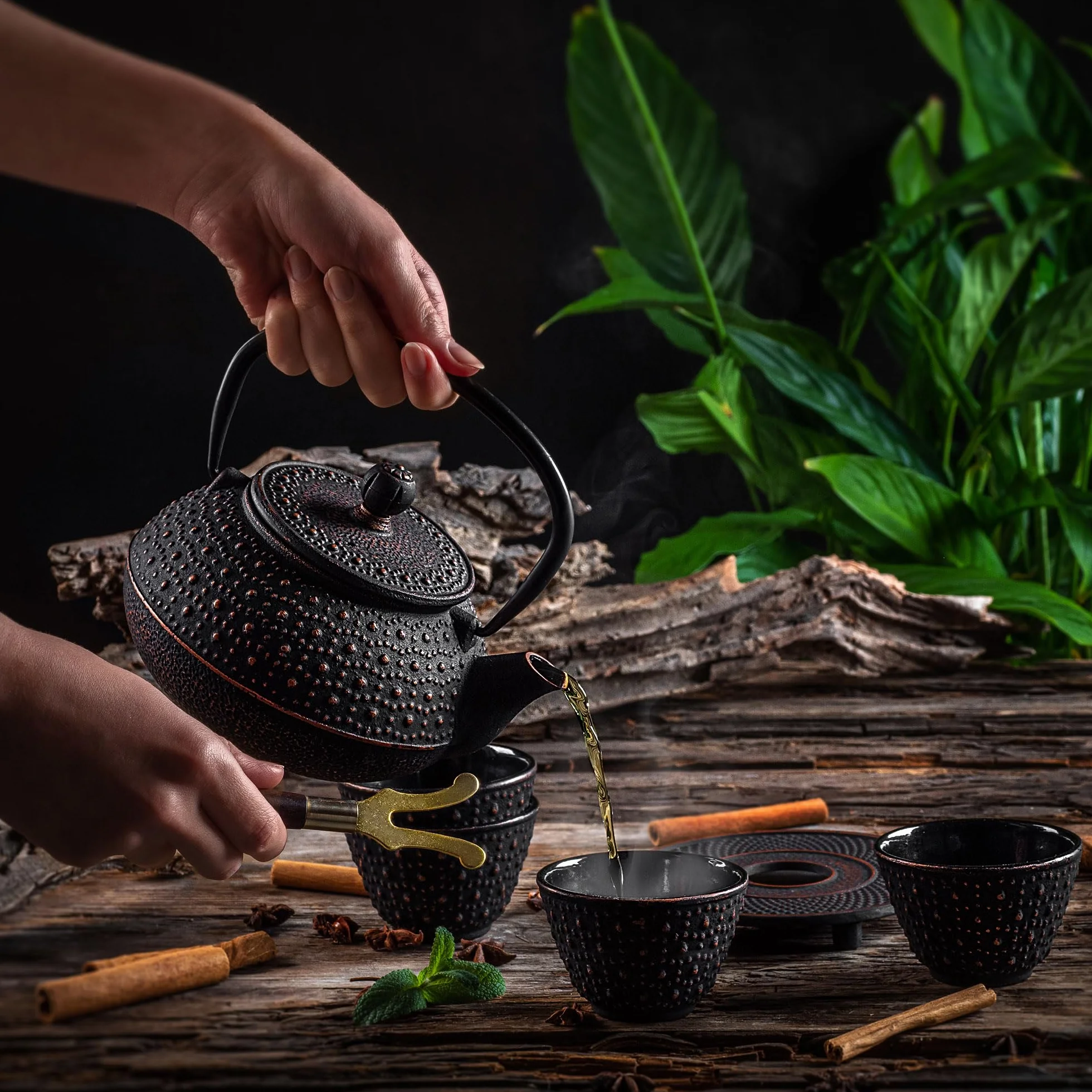 KADAX Tetera japonesa de 0,8 l con 4 tazas de té para té suelto, juego de té japonés de hierro fundido, tetera de hierro fundido con colador, tapa, asa y posavasos (negro)
